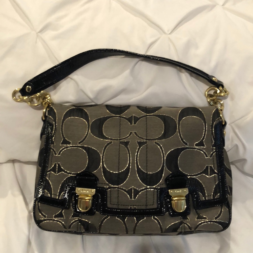 Black and gold coach bag. Dog not included :)